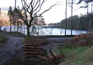 Hoilday accommodation